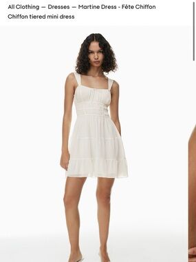Aritzia Martine poplin mini dress